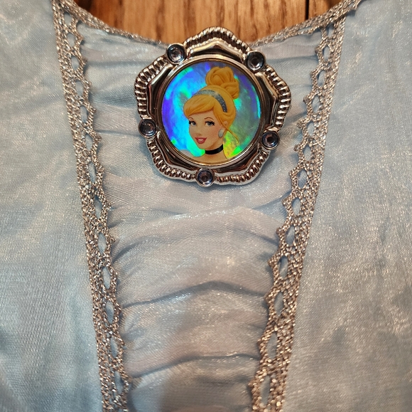 Disney Cinderella Halloween Costume - Picture 10 of 11